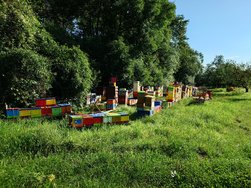 20240810_090745203.JPG