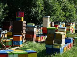 20240810_090753991.JPG