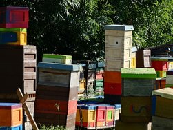 20240810_090800252.JPG