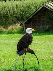 IMG_20240714_154828.jpg