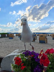 IMG_20240716_190057.jpg
