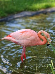 IMG_20240718_174148.jpg