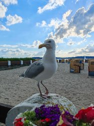 IMG_20240716_190046.jpg