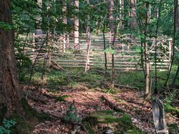 AGC_20240816_185006778.jpg