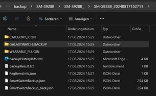 SicherungSmartSwitch4.jpg