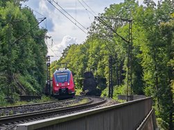 IMG_20240817_161025.jpg