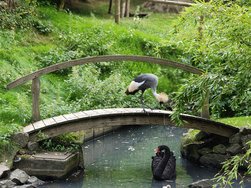 IMG_20240817_134524498_PORTRAIT.jpg