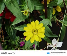 IMG_20240818_145426.jpg