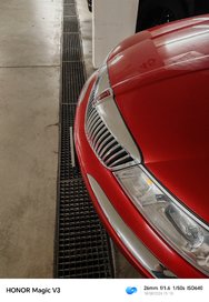IMG_20240818_151519.jpg
