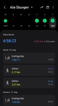 Screenshot_20240818_174546_Samsung Health.jpg