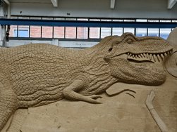 IMG_20240819_172610.jpg