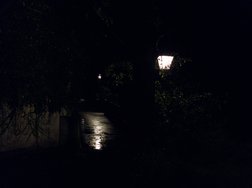ProShot_18082024_233806 5.jpg