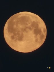 970843-f0b8647ed112c87137de02d957dc1695.jpg.pagespeed.ce.1sB9WMiVN_.jpg