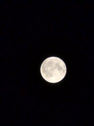 PXL_20240819_211735595.NIGHT.jpg