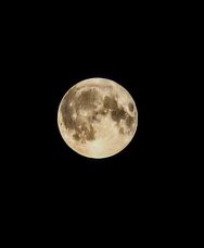 PXL_20240819_211735595.NIGHT~4.jpg