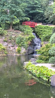 IMG_20240817_182913.jpg