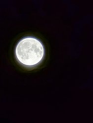 PXL_20240819_213214279.LONG_EXPOSURE-01.COVER.jpg