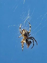IMG_20240812_152058.jpg
