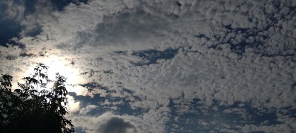 IMG_20240820_175823.jpg