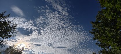 IMG_20240820_175733.jpg