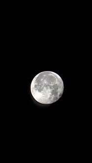 PXL_20240821_033259165.NIGHT~2.jpg