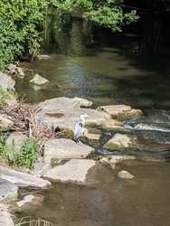PXL_20240618_144137140.jpg