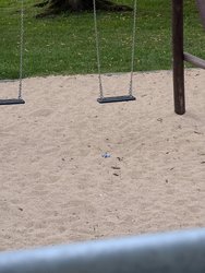 1000099810.jpg