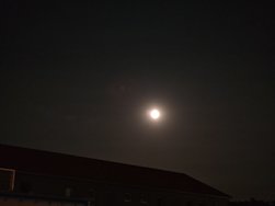 IMG_20240819_224302.jpg