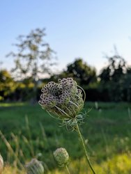 PXL_20240822_165145416~3.jpg