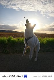 IMG_20240823_063322.jpg