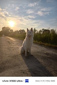 IMG_20240823_062826.jpg