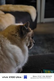 IMG_20240823_062531.jpg