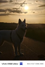 IMG_20240823_062607.jpg