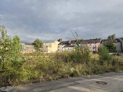 20240823_183657.jpg