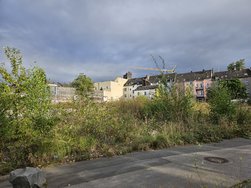20240823_183706.jpg