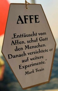 thumbs_picdump896_146.jpg