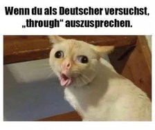 thumbs_picdump896_137.jpg