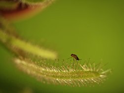 IMG_20240824_113855.jpg