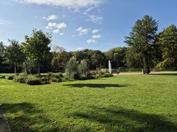 20240824_164900.jpg