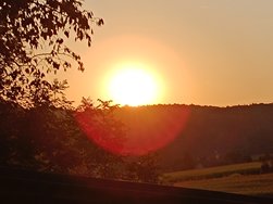IMG_20240824_192705.jpg
