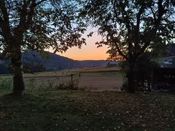 IMG_20240824_201707.jpg