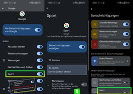Google - Sport.jpg