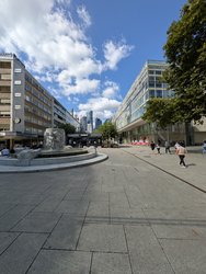 PXL_20240825_093948331.jpg