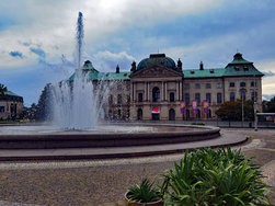IMG_20240825_154604.jpg