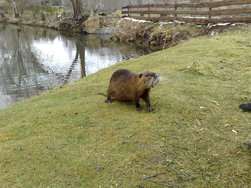 20080323_144017.jpg