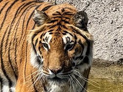 IMG_7232~2.jpg