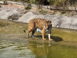 IMG_7232.jpg