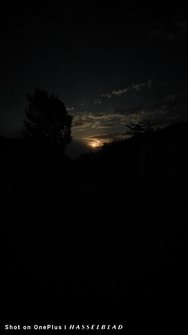 IMG20240820211914.jpg