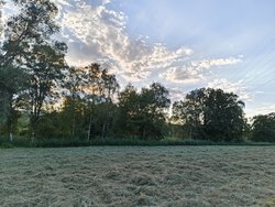 IMG_20240826_185115388.jpg