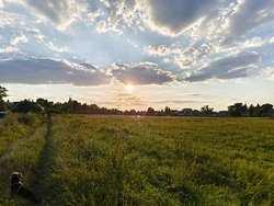 IMG_20240826_190226359.jpg